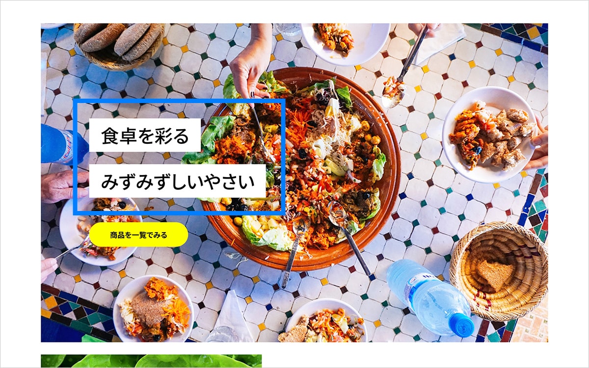 PC表示時 TOPページメイン画像のキャッチコピー