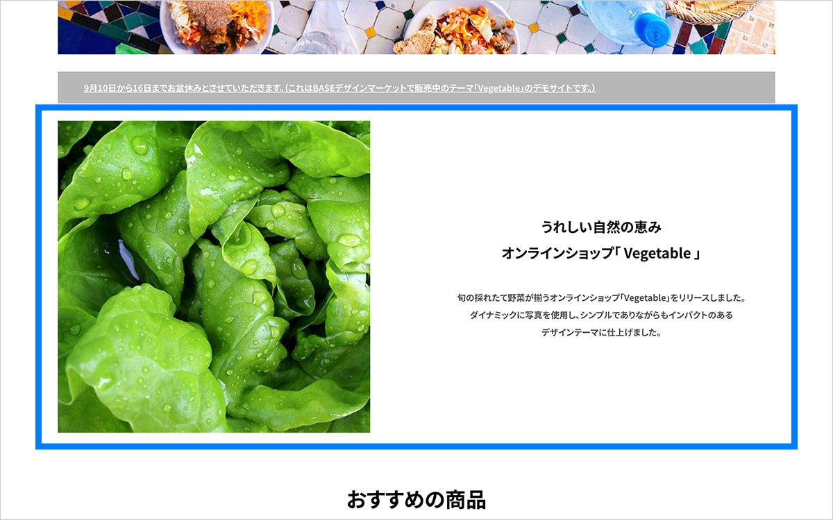 PC表示時 TOPページ イントロダクション設定