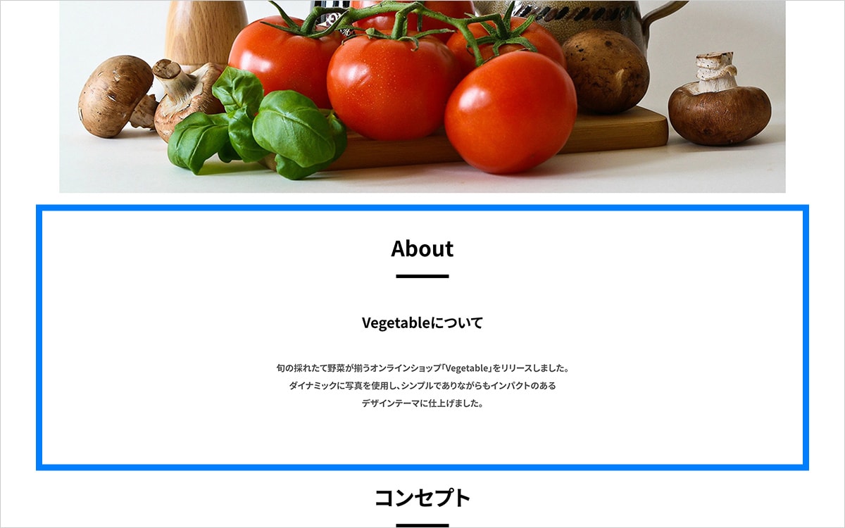 PC表示時 ABOUTページ ショップ説明