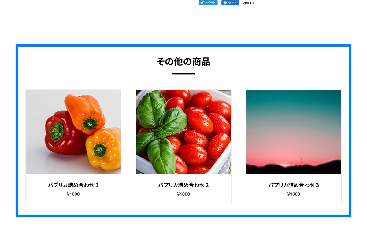 PC表示時 商品ページ 関連商品