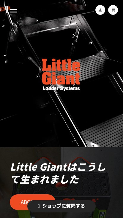 littlegiant